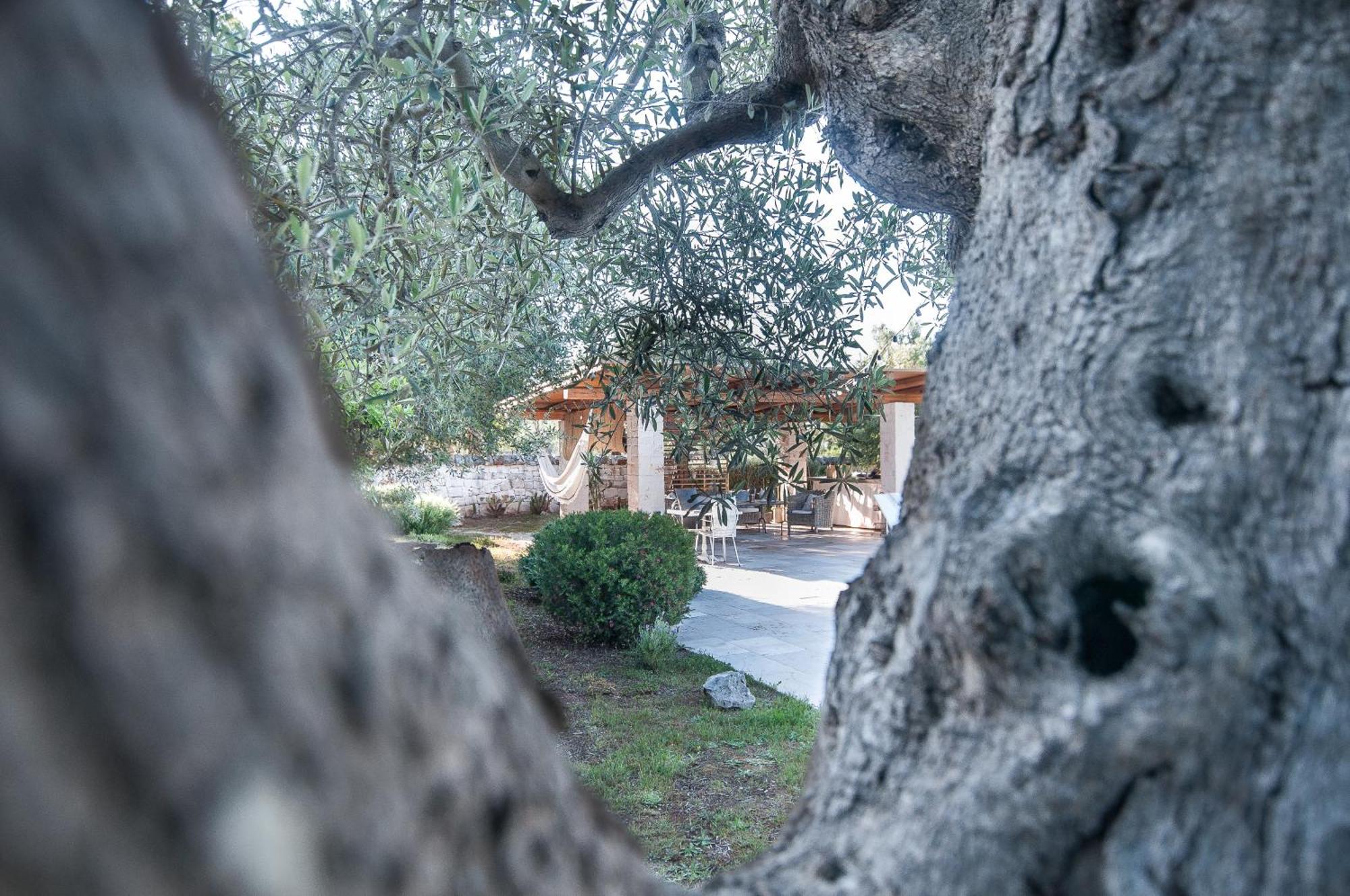 Il Trullo Di Ben Locorotondo Exterior foto